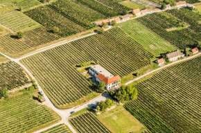 Wein-Gut Hutter, Krems An Der Donau, Österreich